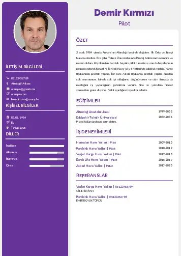 Pilot CV Örnekleri cv indir